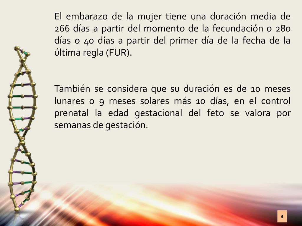 El embarazo de la mujer tiene una duración media de 266 días a partir del momento de la fecundación o 280 días o 40 días a partir del primer día de la fecha de la última regla (FUR).