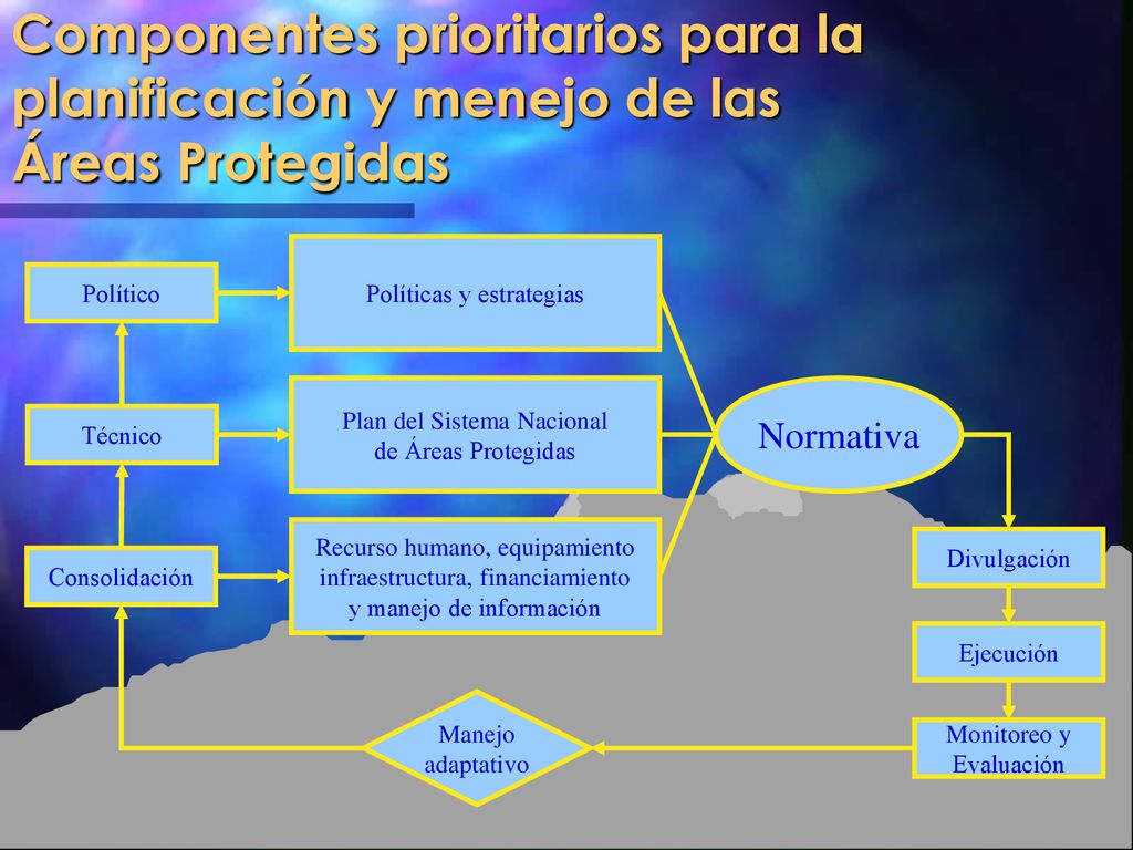 Componentes prioritarios para la planificación y menejo de las Áreas Protegidas