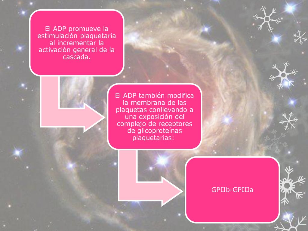 El ADP promueve la estimulación plaquetaria al incrementar la activación general de la cascada.