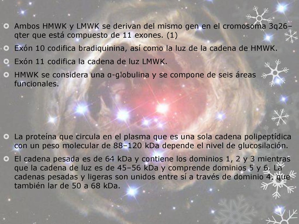 Exón 10 codifica bradiquinina, así como la luz de la cadena de HMWK.