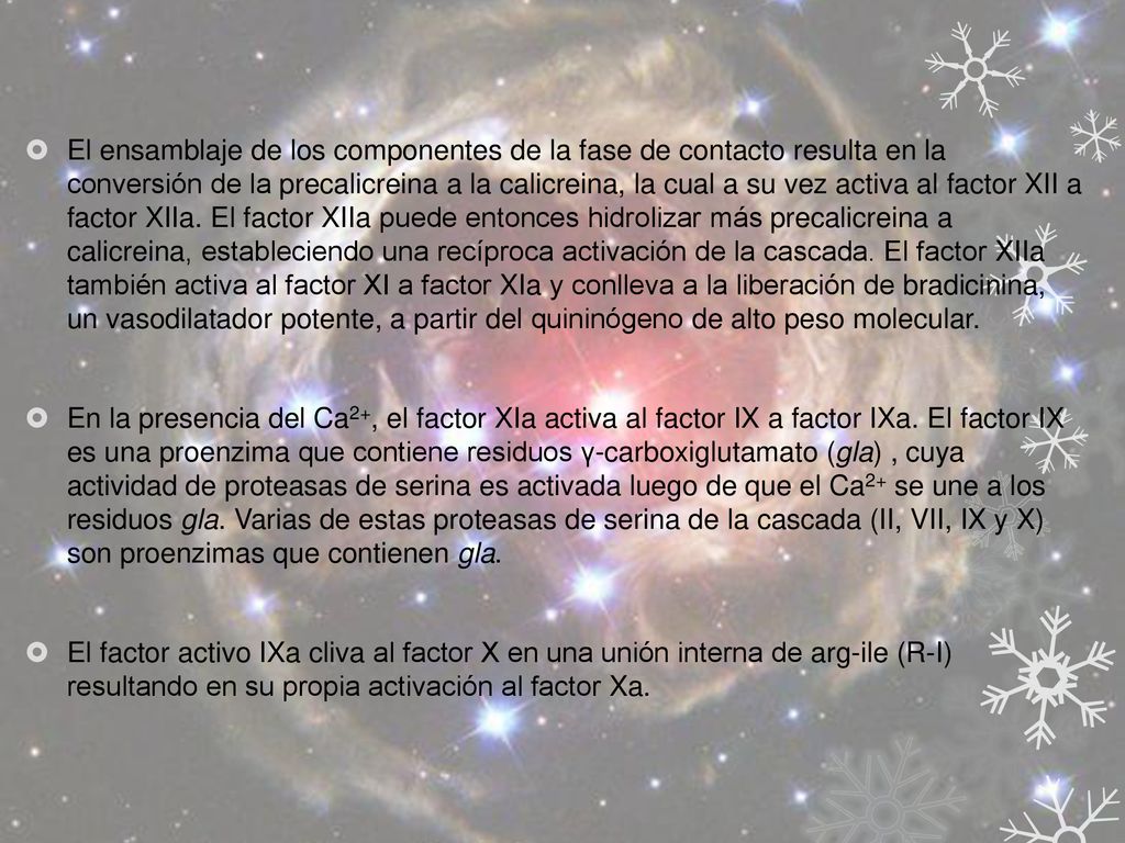 El ensamblaje de los componentes de la fase de contacto resulta en la conversión de la precalicreina a la calicreina, la cual a su vez activa al factor XII a factor XIIa. El factor XIIa puede entonces hidrolizar más precalicreina a calicreina, estableciendo una recíproca activación de la cascada. El factor XIIa también activa al factor XI a factor XIa y conlleva a la liberación de bradicinina, un vasodilatador potente, a partir del quininógeno de alto peso molecular.