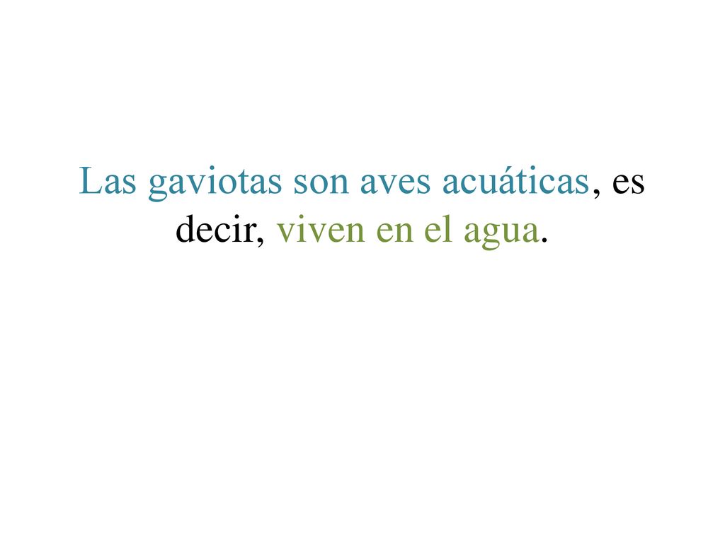 Las gaviotas son aves acuáticas, es decir, viven en el agua.