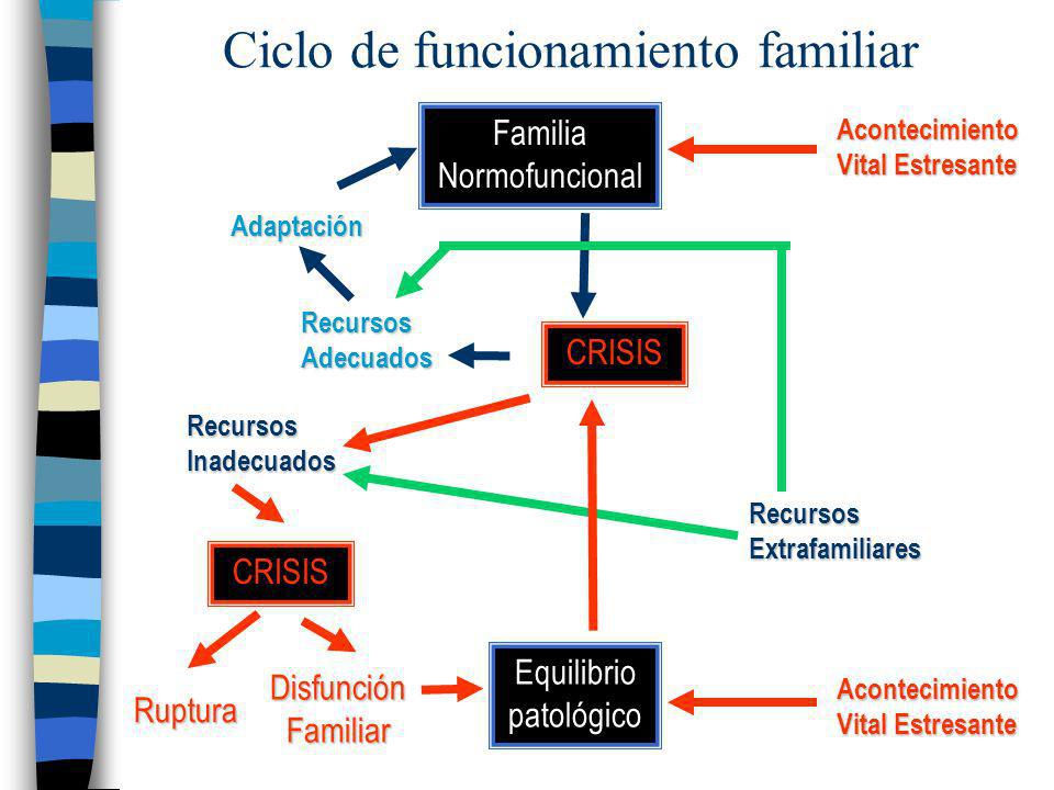 Ciclo de funcionamiento familiar