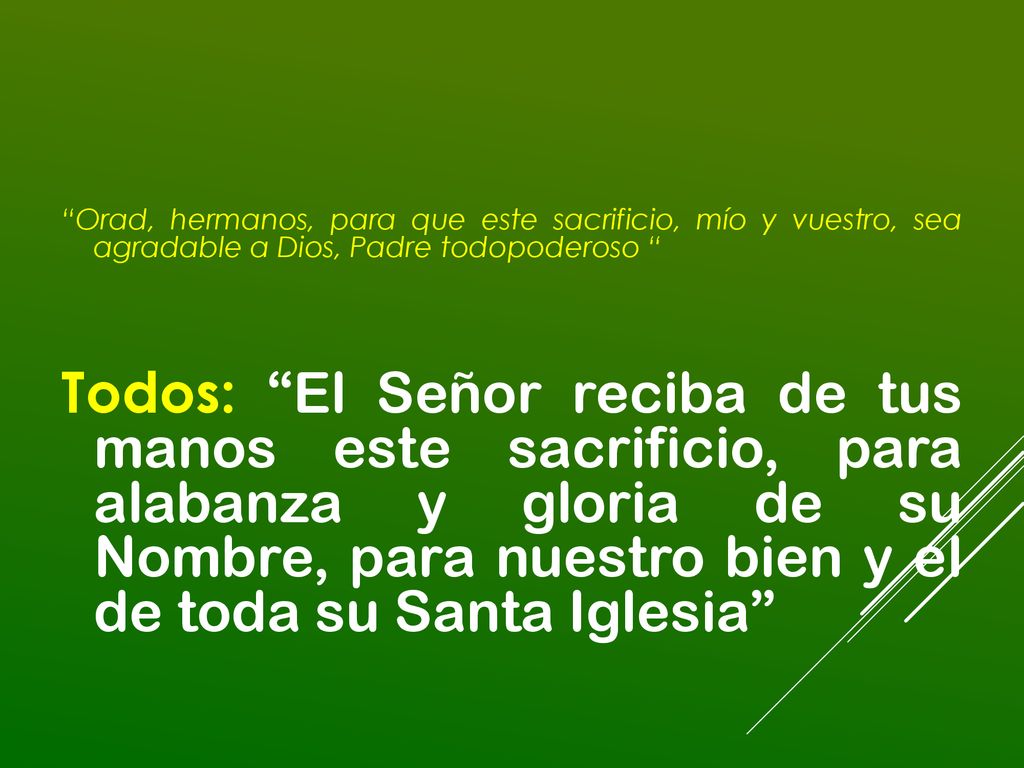 Orad, hermanos, para que este sacrificio, mío y vuestro, sea agradable a Dios, Padre todopoderoso