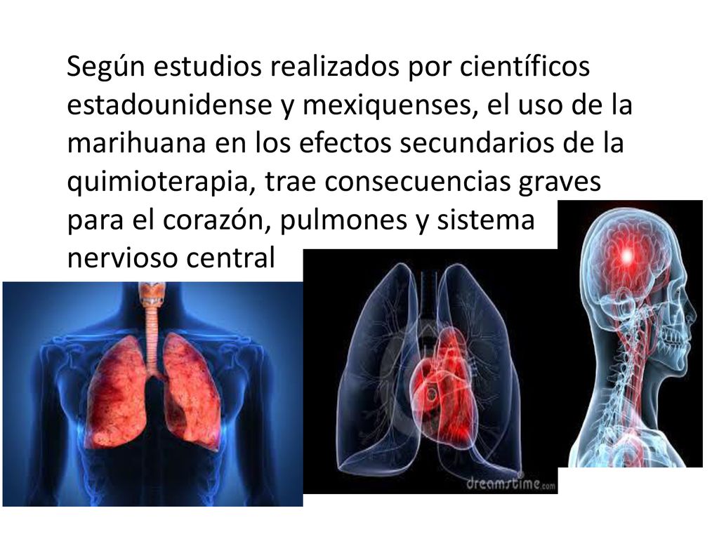Según estudios realizados por científicos estadounidense y mexiquenses, el uso de la marihuana en los efectos secundarios de la quimioterapia, trae consecuencias graves para el corazón, pulmones y sistema nervioso central