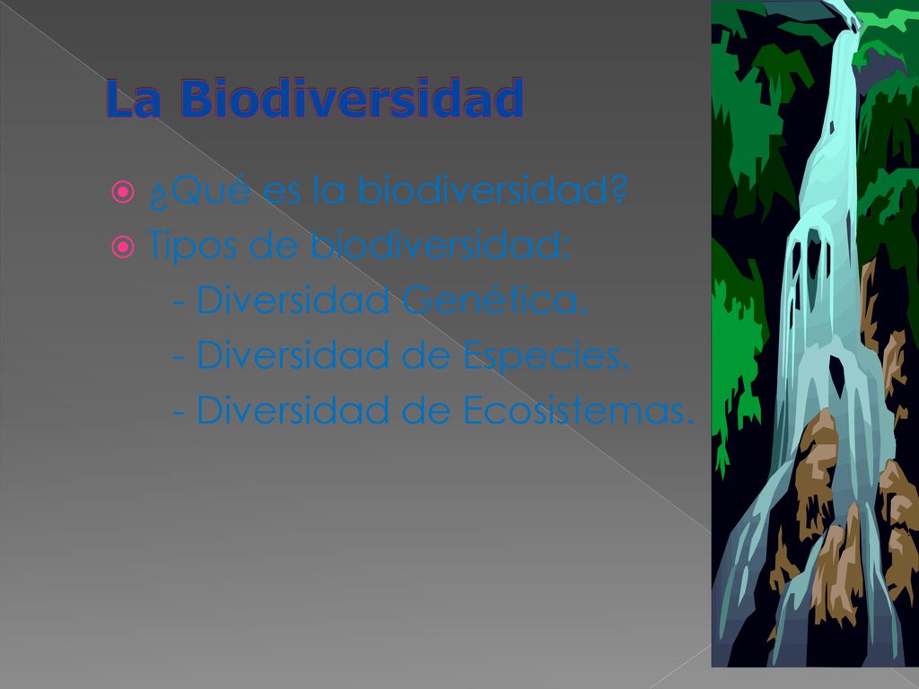 La Biodiversidad ¿Qué es la biodiversidad Tipos de biodiversidad: