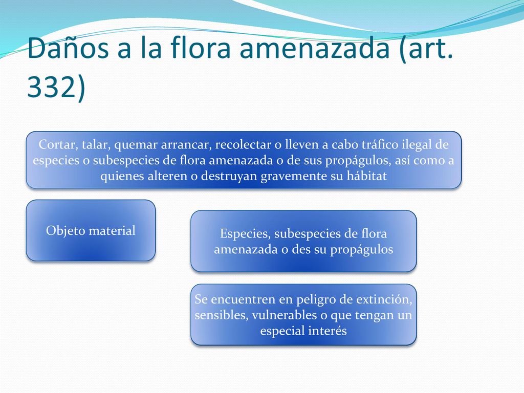 Especies, subespecies de flora amenazada o des su propágulos