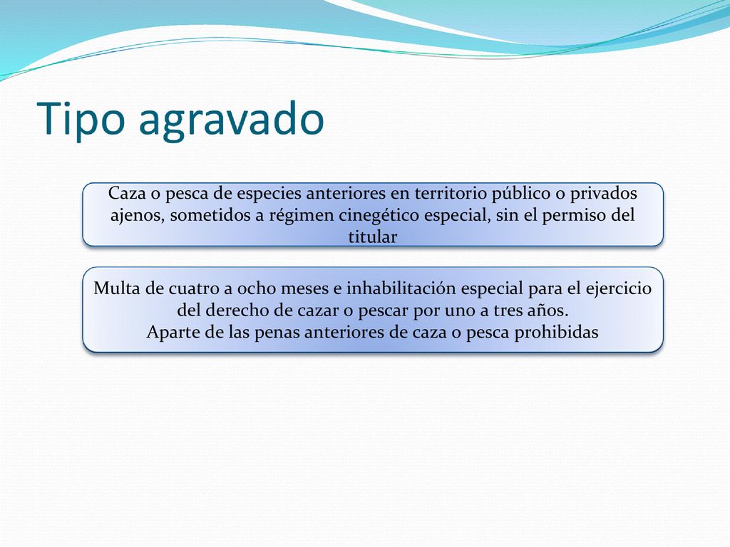 Aparte de las penas anteriores de caza o pesca prohibidas