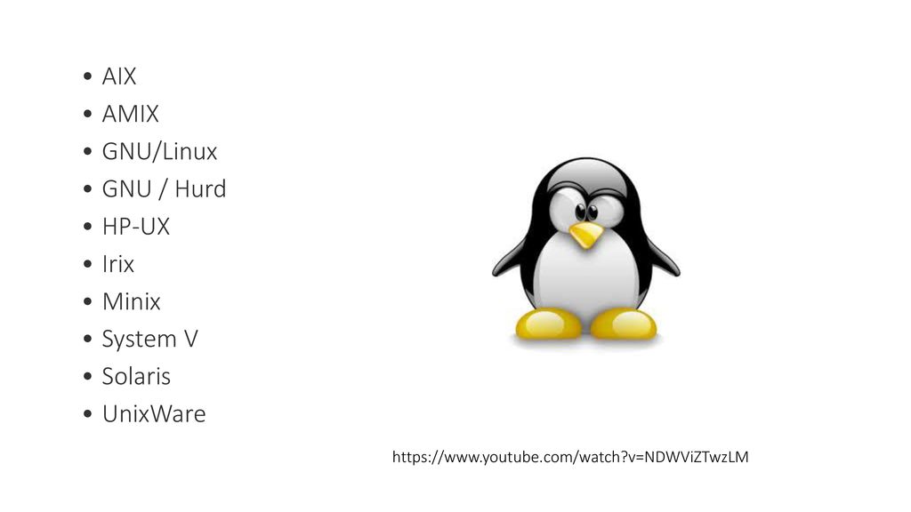AIX AMIX GNU/Linux GNU / Hurd HP-UX Irix Minix System V Solaris