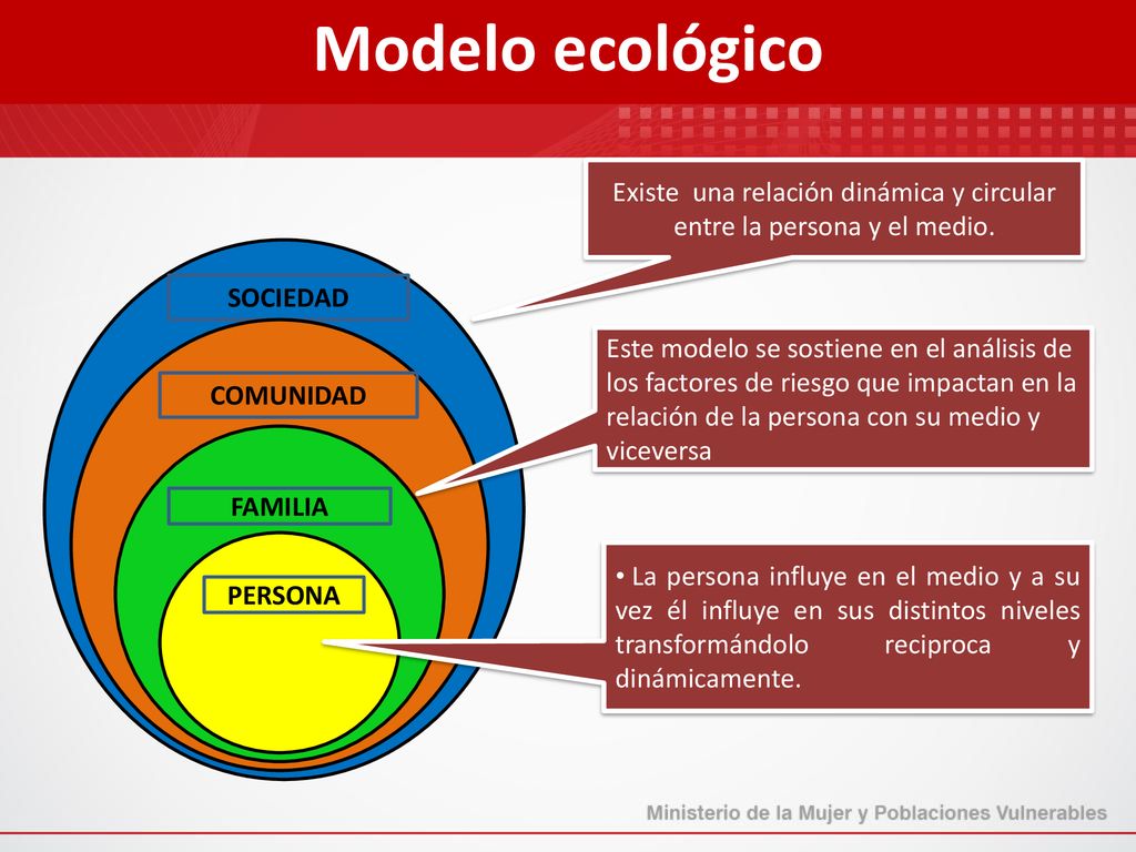 Existe una relación dinámica y circular entre la persona y el medio.