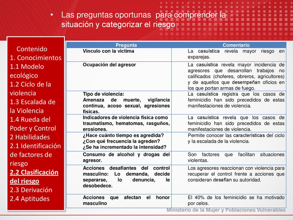 Las preguntas oportunas para comprender la situación y categorizar el riesgo.