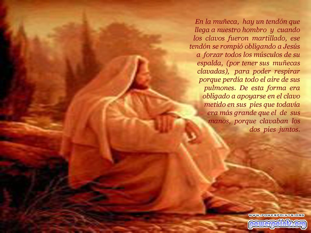 En la muñeca, hay un tendón que llega a nuestro hombro y cuando los clavos fueron martillado, ese tendón se rompió obligando a Jesús a forzar todos los músculos de su espalda, (por tener sus muñecas clavadas), para poder respirar porque perdía todo el aire de sus pulmones.
