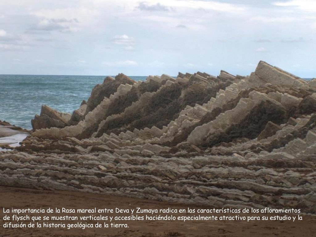 La importancia de la Rasa mareal entre Deva y Zumaya radica en las características de los afloramientos de flysch que se muestran verticales y accesibles haciéndolo especialmente atractivo para su estudio y la difusión de la historia geológica de la tierra.