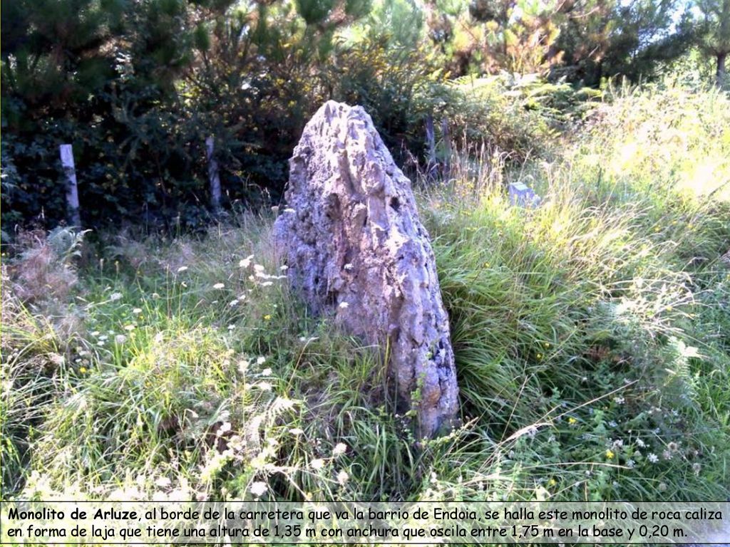 Monolito de Arluze, al borde de la carretera que va la barrio de Endoia, se halla este monolito de roca caliza en forma de laja que tiene una altura de 1,35 m con anchura que oscila entre 1,75 m en la base y 0,20 m.