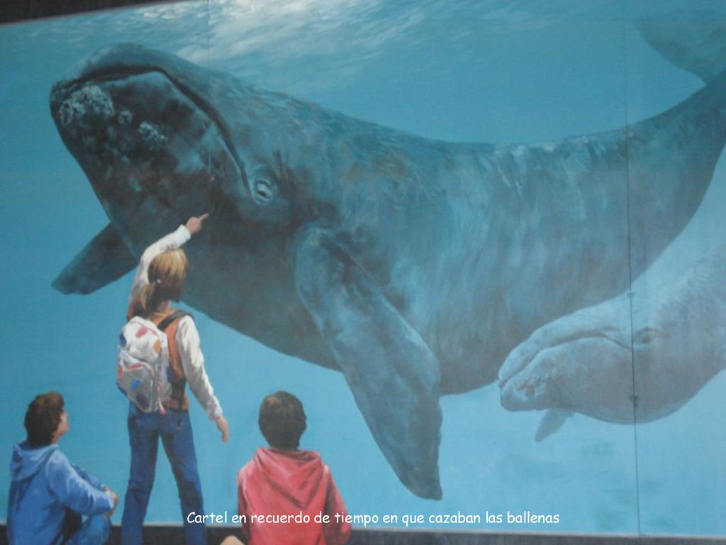 Cartel en recuerdo de tiempo en que cazaban las ballenas