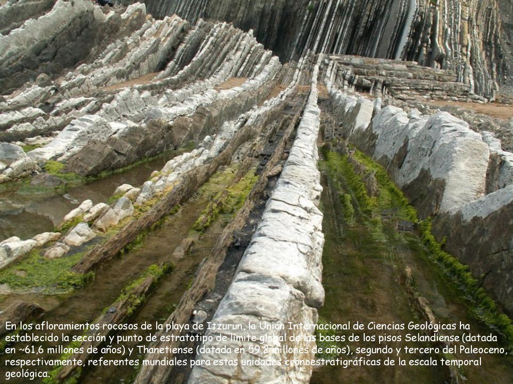 En los afloramientos rocosos de la playa de Itzurun, la Unión Internacional de Ciencias Geológicas ha establecido la sección y punto de estratotipo de límite global de las bases de los pisos Selandiense (datada en ~61,6 millones de años) y Thanetiense (datada en 59,2 millones de años), segundo y tercero del Paleoceno, respectivamente, referentes mundiales para estas unidades cronoestratigráficas de la escala temporal geológica.