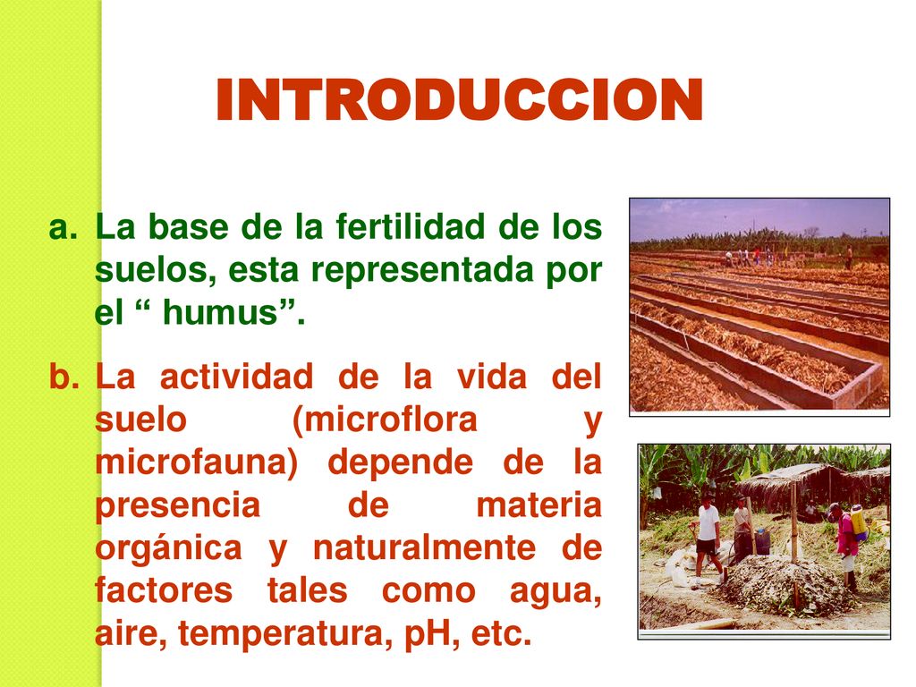 INTRODUCCION La base de la fertilidad de los suelos, esta representada por el humus .