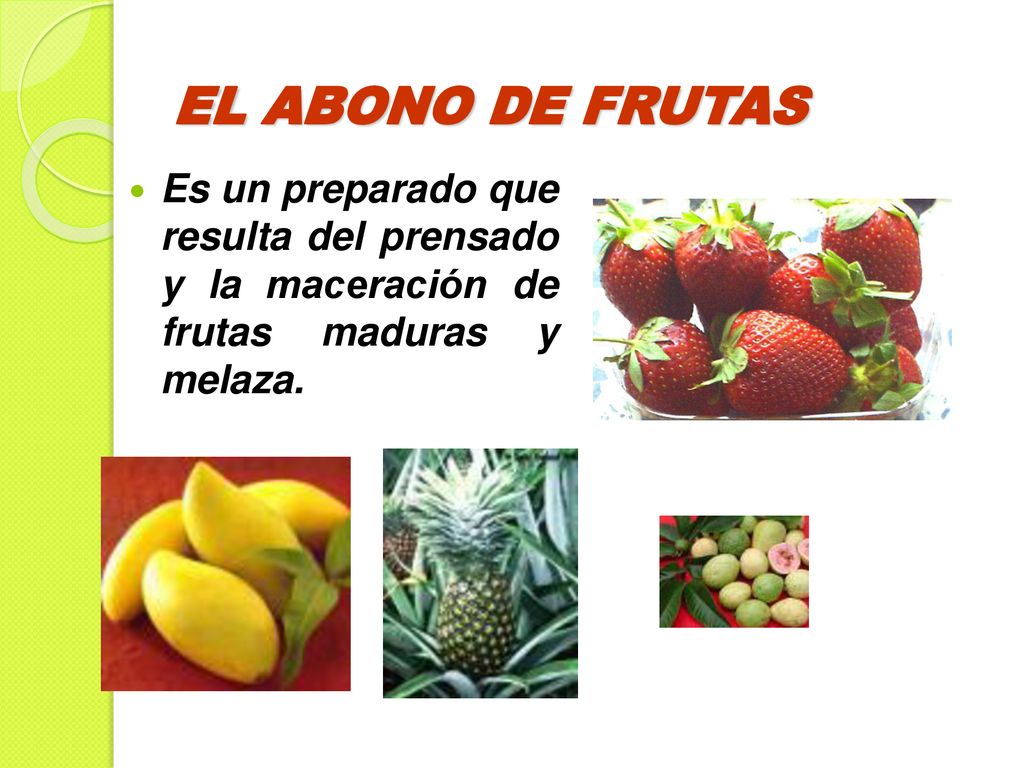 EL ABONO DE FRUTAS Es un preparado que resulta del prensado y la maceración de frutas maduras y melaza.