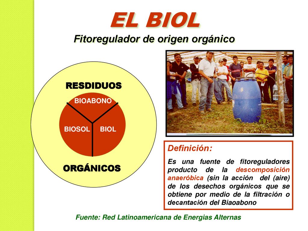EL BIOL Fitoregulador de origen orgánico