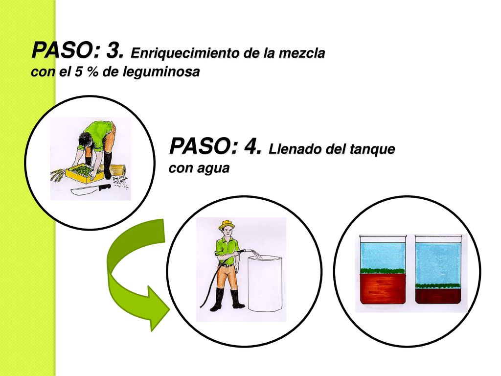 PASO: 3. Enriquecimiento de la mezcla con el 5 % de leguminosa