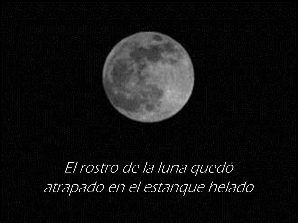 El rostro de la luna quedó atrapado en el estanque helado