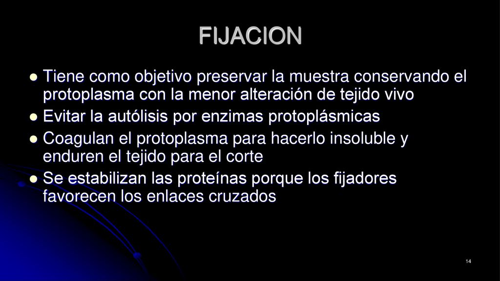 FIJACION Tiene como objetivo preservar la muestra conservando el protoplasma con la menor alteración de tejido vivo.