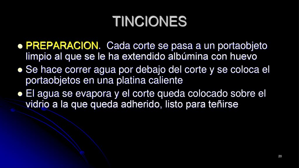 TINCIONES PREPARACION. Cada corte se pasa a un portaobjeto limpio al que se le ha extendido albúmina con huevo.