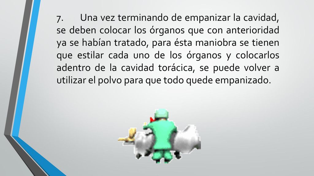 7. Una vez terminando de empanizar la cavidad, se deben colocar los órganos que con anterioridad ya se habían tratado, para ésta maniobra se tienen que estilar cada uno de los órganos y colocarlos adentro de la cavidad torácica, se puede volver a utilizar el polvo para que todo quede empanizado.