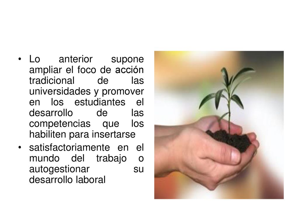 Lo anterior supone ampliar el foco de acción tradicional de las universidades y promover en los estudiantes el desarrollo de las competencias que los habiliten para insertarse