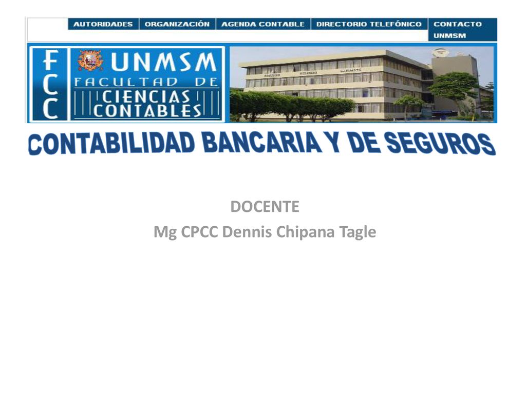 DOCENTE Mg CPCC Dennis Chipana Tagle
