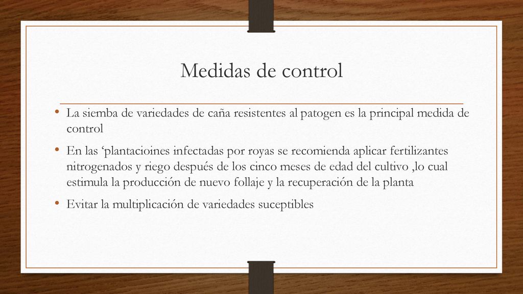 Medidas de control La siemba de variedades de caña resistentes al patogen es la principal medida de control.