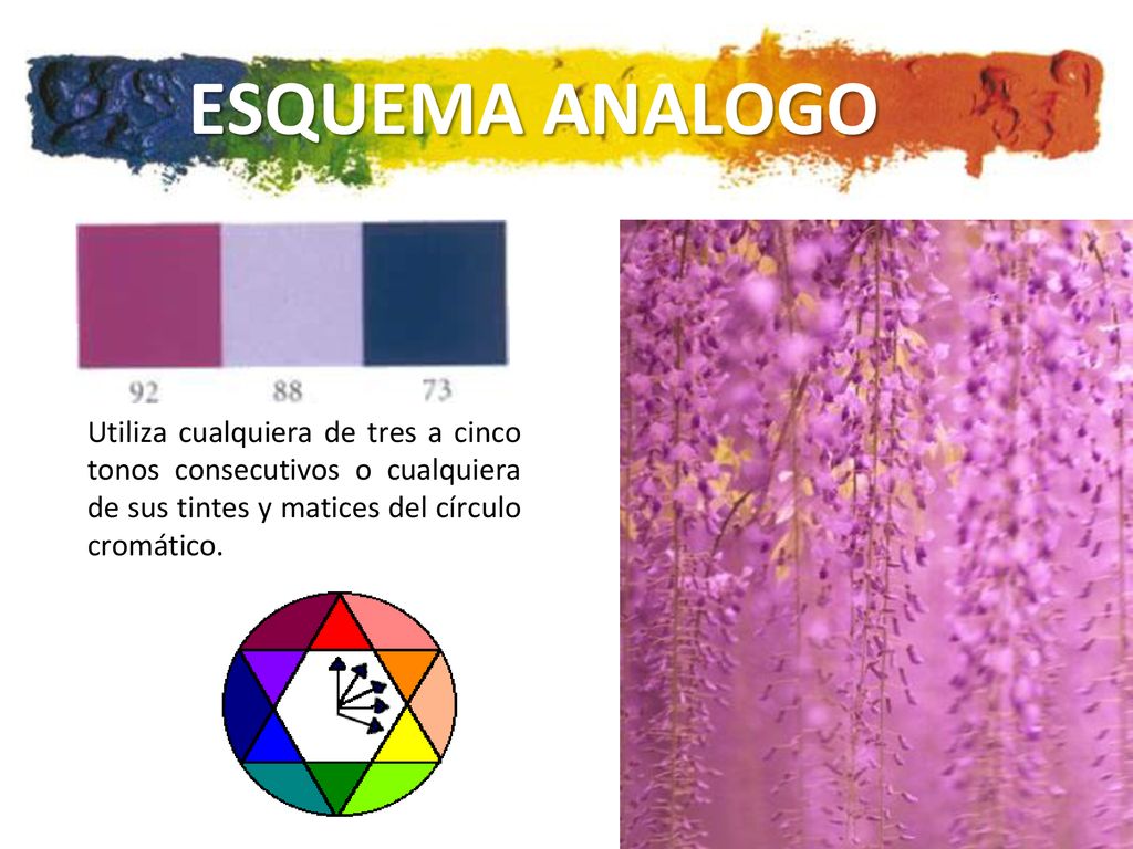 ESQUEMA ANALOGO Utiliza cualquiera de tres a cinco tonos consecutivos o cualquiera de sus tintes y matices del círculo cromático.