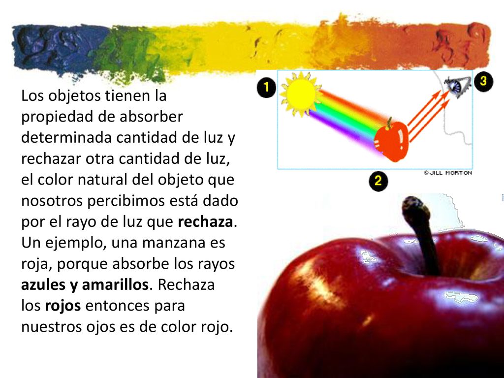 Los objetos tienen la propiedad de absorber determinada cantidad de luz y rechazar otra cantidad de luz, el color natural del objeto que nosotros percibimos está dado por el rayo de luz que rechaza.