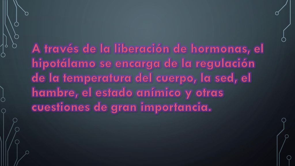 A través de la liberación de hormonas, el hipotálamo se encarga de la regulación de la temperatura del cuerpo, la sed, el hambre, el estado anímico y otras cuestiones de gran importancia.
