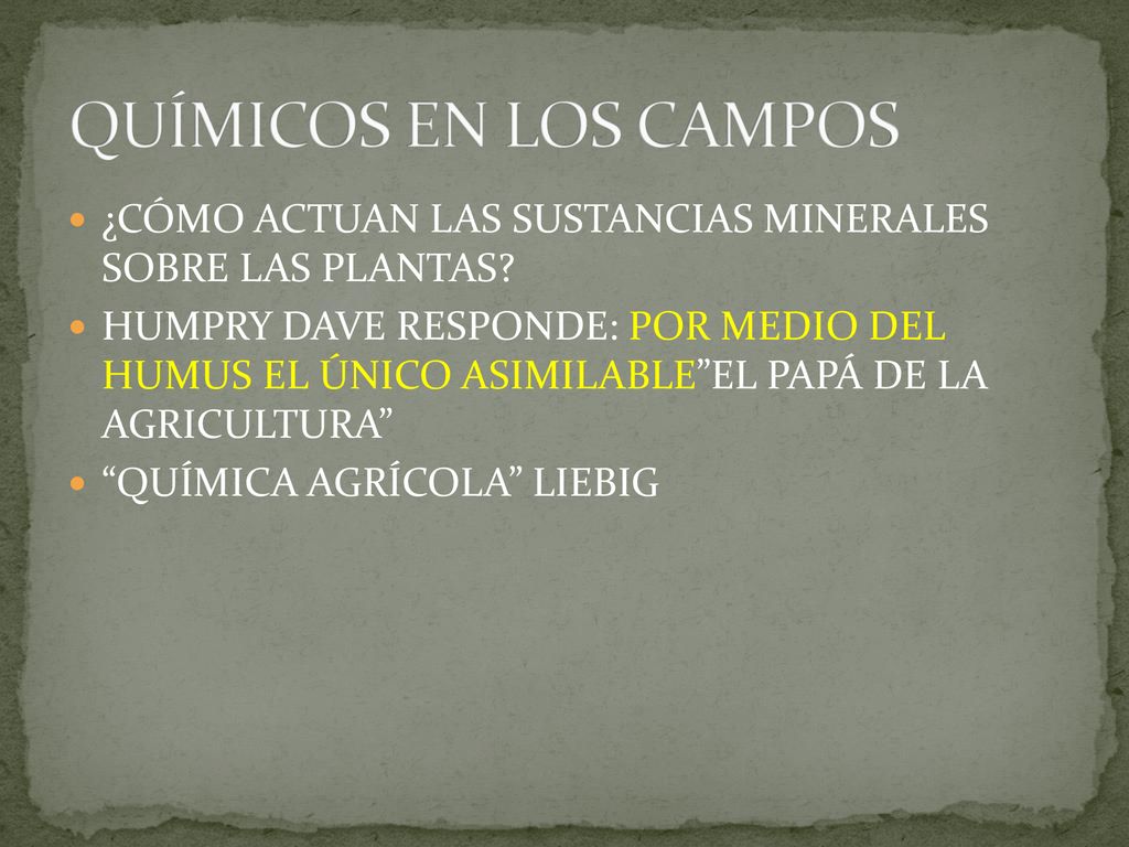 QUÍMICOS EN LOS CAMPOS ¿CÓMO ACTUAN LAS SUSTANCIAS MINERALES SOBRE LAS PLANTAS
