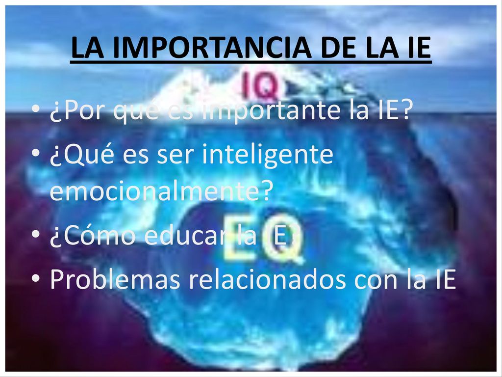 LA IMPORTANCIA DE LA IE ¿Por qué es importante la IE