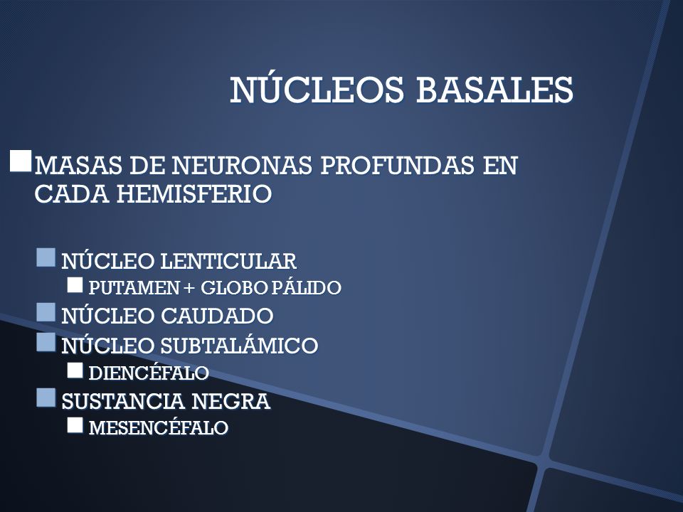 NÚCLEOS BASALES MASAS DE NEURONAS PROFUNDAS EN CADA HEMISFERIO