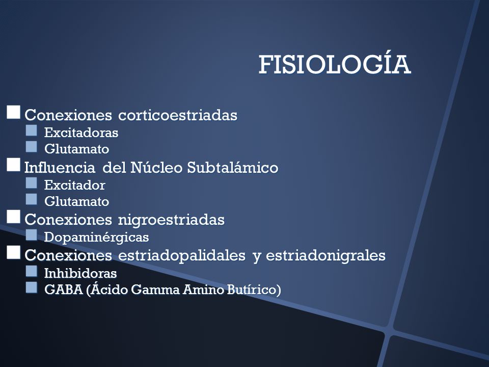 FISIOLOGÍA Conexiones corticoestriadas