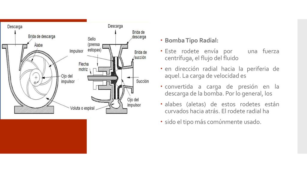 Bomba Tipo Radial: Este rodete envía por una fuerza centrífuga, el flujo del fluido.
