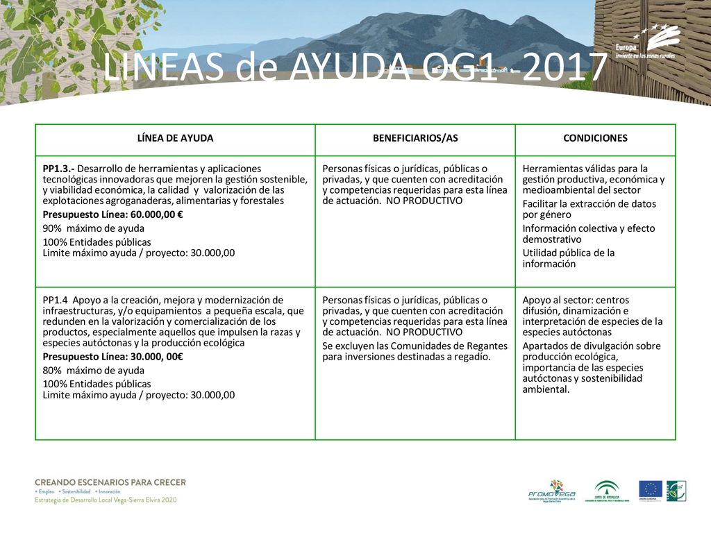 LINEAS de AYUDA OG1_2017 LÍNEA DE AYUDA BENEFICIARIOS/AS CONDICIONES