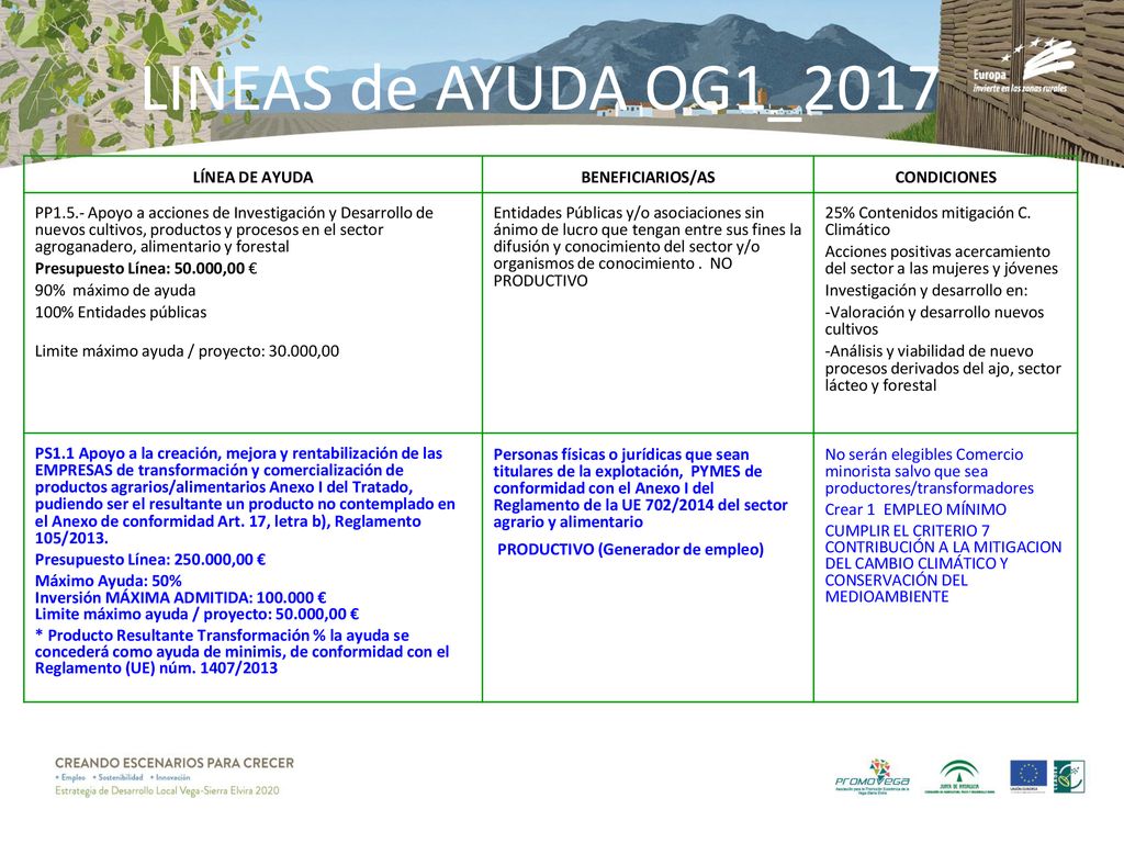 LINEAS de AYUDA OG1_2017 LÍNEA DE AYUDA BENEFICIARIOS/AS CONDICIONES