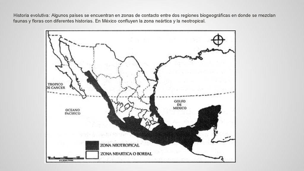 Historia evolutiva: Algunos países se encuentran en zonas de contacto entre dos regiones biogeográficas en donde se mezclan faunas y floras con diferentes historias.