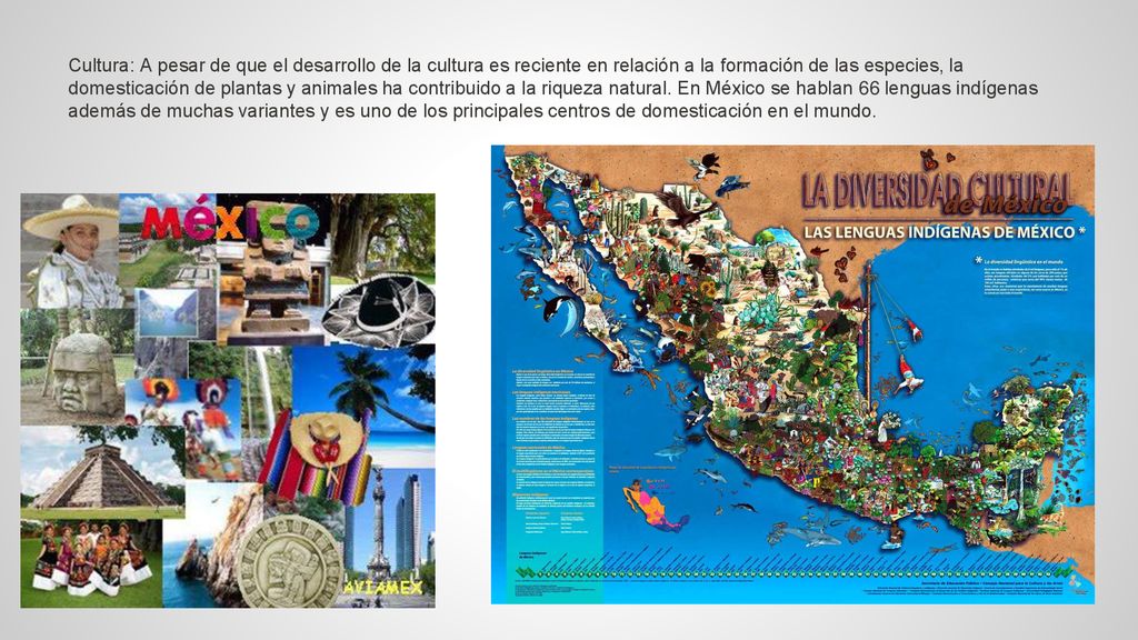 Cultura: A pesar de que el desarrollo de la cultura es reciente en relación a la formación de las especies, la domesticación de plantas y animales ha contribuido a la riqueza natural.