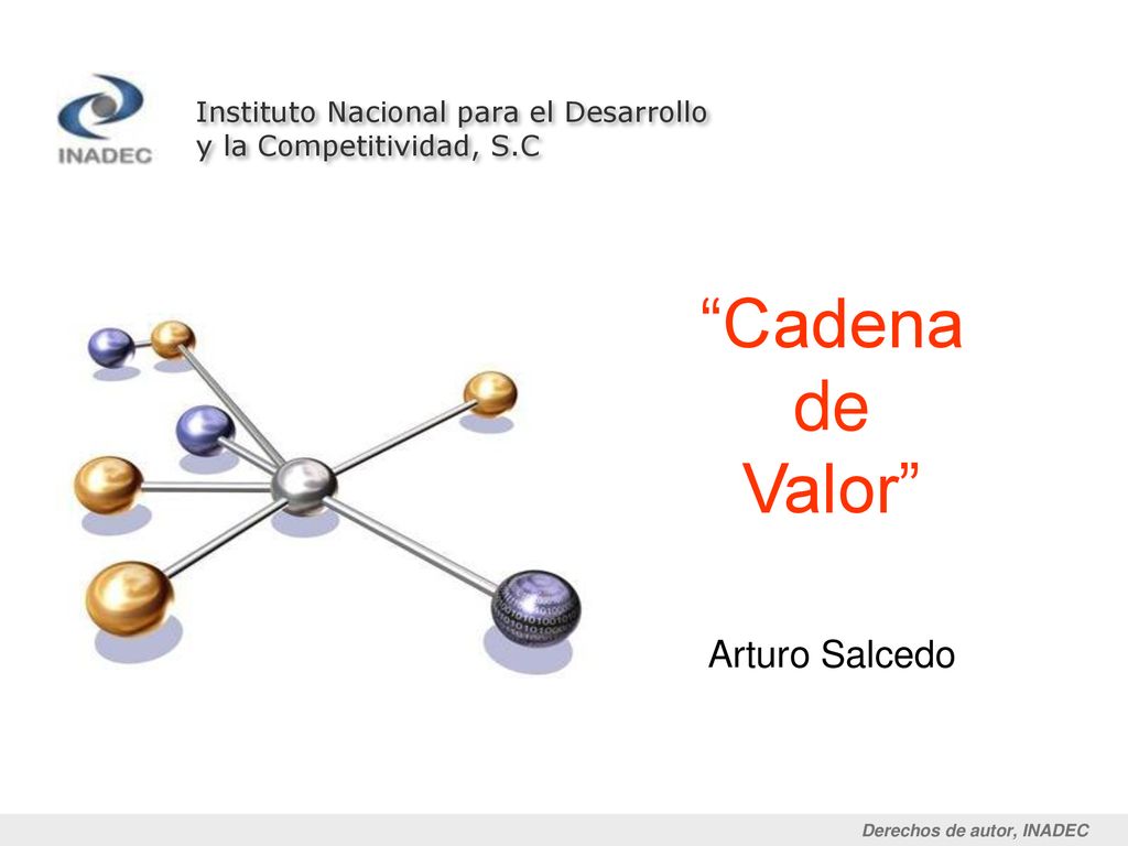 Cadena de Valor Arturo Salcedo Instituto Nacional para el Desarrollo