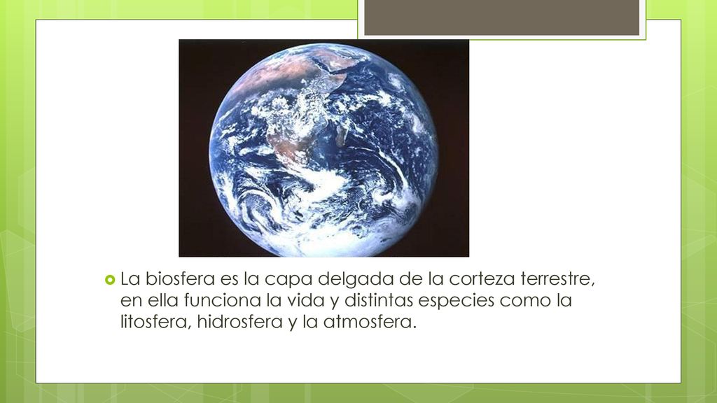 La biosfera es la capa delgada de la corteza terrestre, en ella funciona la vida y distintas especies como la litosfera, hidrosfera y la atmosfera.