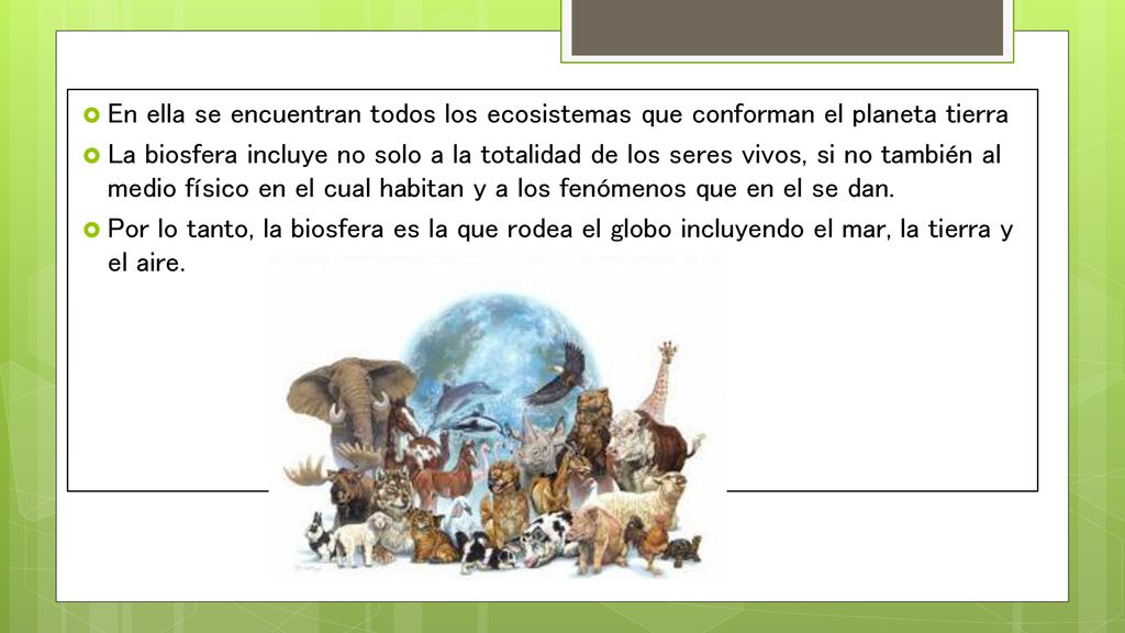 En ella se encuentran todos los ecosistemas que conforman el planeta tierra