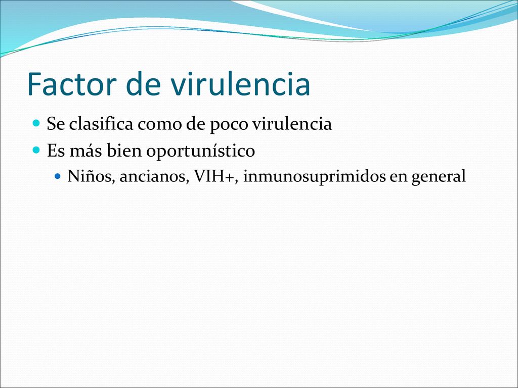 Factor de virulencia Se clasifica como de poco virulencia