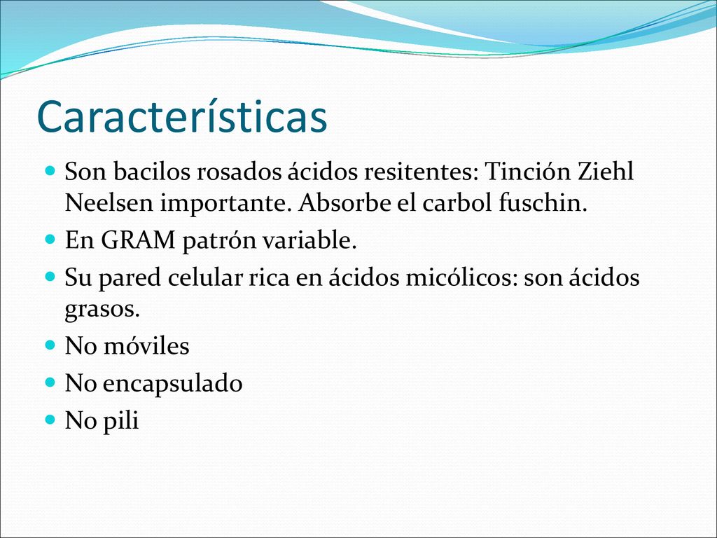 Características Son bacilos rosados ácidos resitentes: Tinción Ziehl Neelsen importante. Absorbe el carbol fuschin.