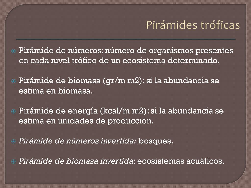 Pirámides tróficas Pirámide de números: número de organismos presentes en cada nivel trófico de un ecosistema determinado.