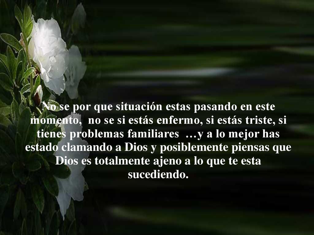 No se por que situación estas pasando en este momento, no se si estás enfermo, si estás triste, si tienes problemas familiares …y a lo mejor has estado clamando a Dios y posiblemente piensas que Dios es totalmente ajeno a lo que te esta sucediendo.